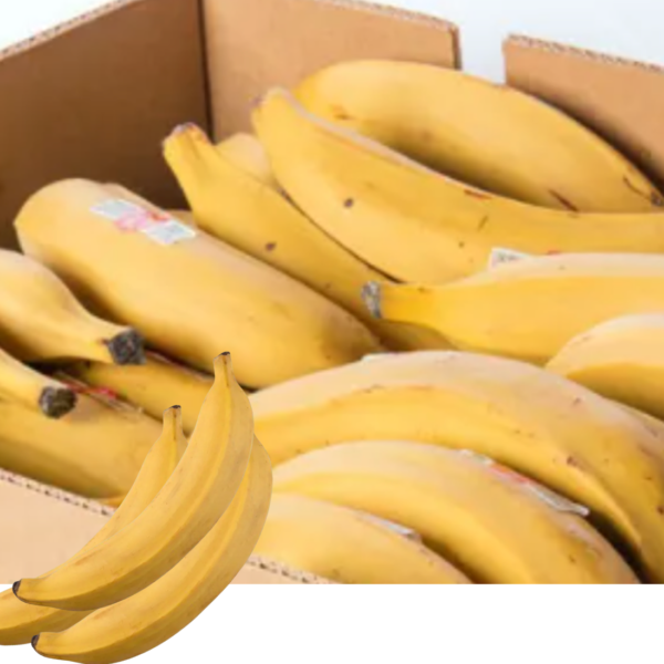 Home import placeholder for 6289