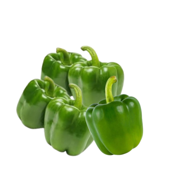 import placeholder for 6460